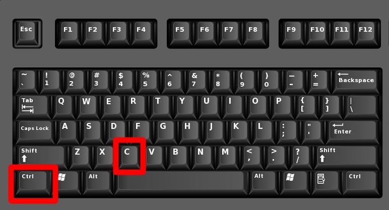 Cara Mengcopy Teks di Laptop dengan Keyboard: Pintasan Cepat untuk Produktivitas