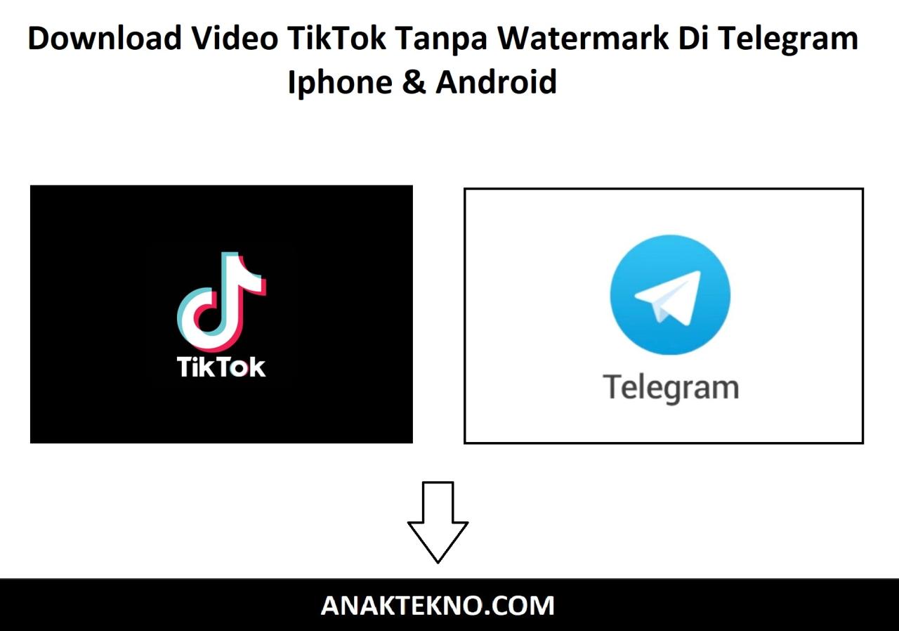 Cara Download TikTok Tanpa Watermark di iPhone