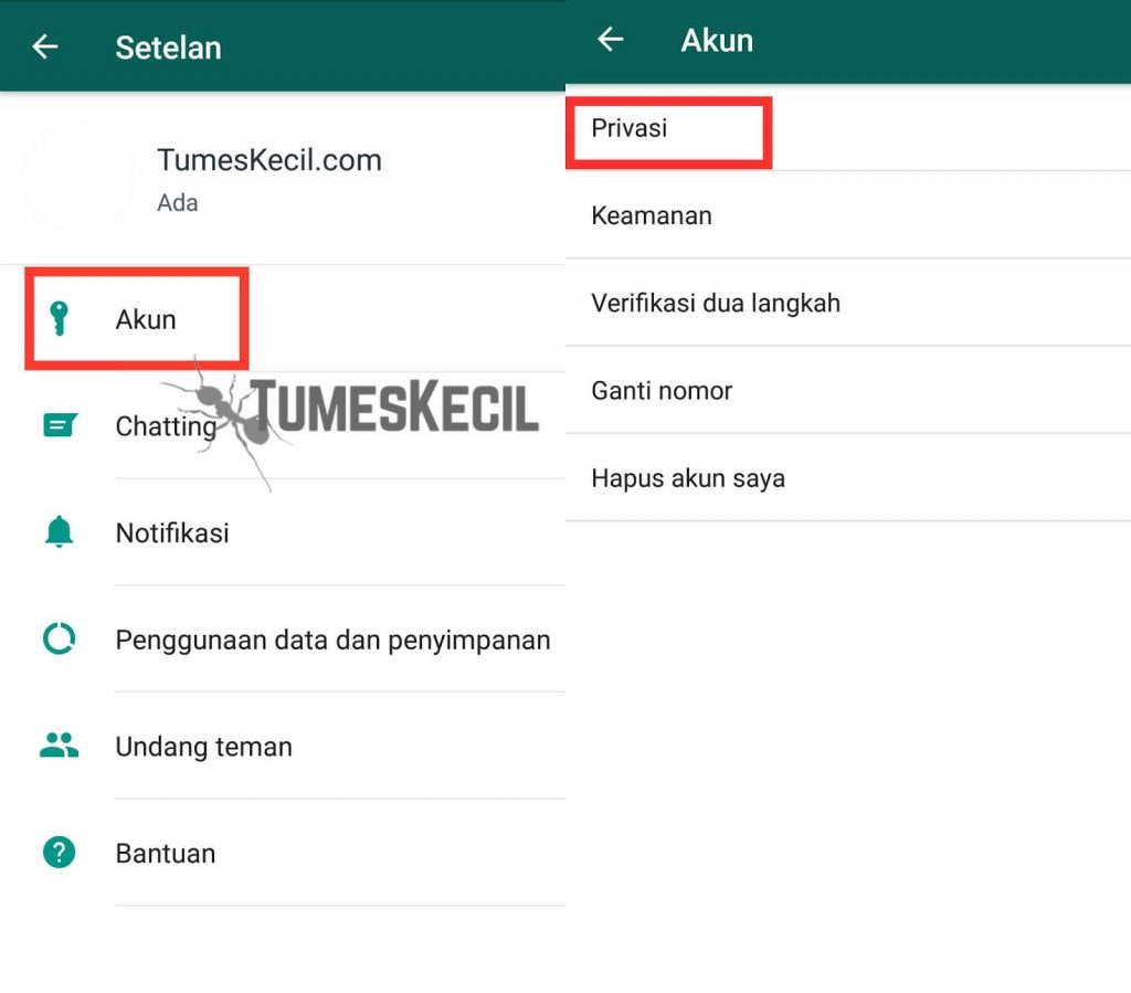 Cara Melihat Story WA Tanpa Ketahuan