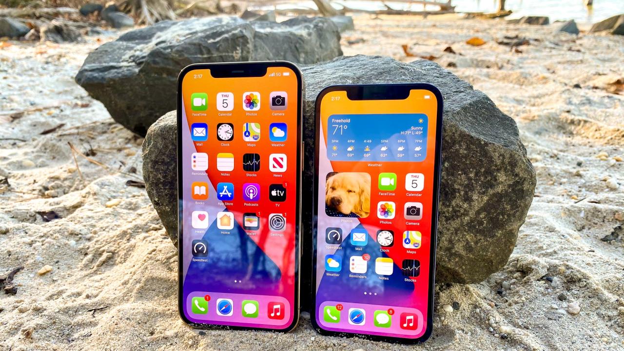 iPhone 12 Pro Max Berapa Hz Layarnya? 11 Iphone 12 pro max berapa hz