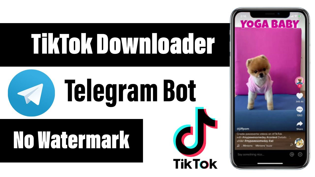 Cara Download TikTok Tanpa Watermark di iPhone 13 Cara download tiktok tanpa watermark di iphone